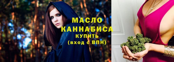 apvp Ельня