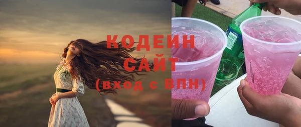 apvp Ельня
