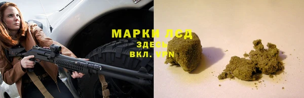 apvp Ельня