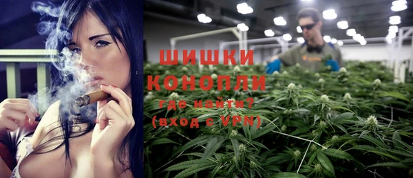 apvp Ельня