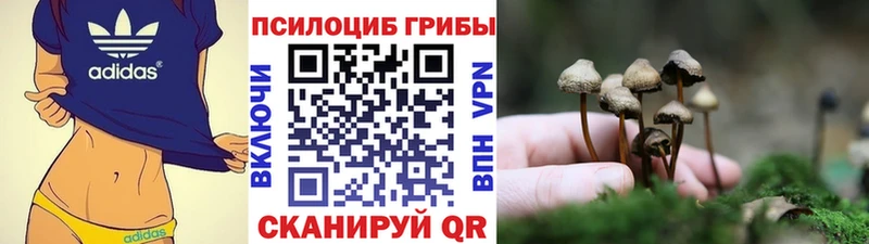 Псилоцибиновые грибы GOLDEN TEACHER  Пущино 